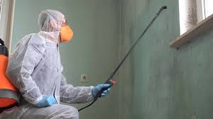 Trusted West Fairview, PA Mold Remediation Experts